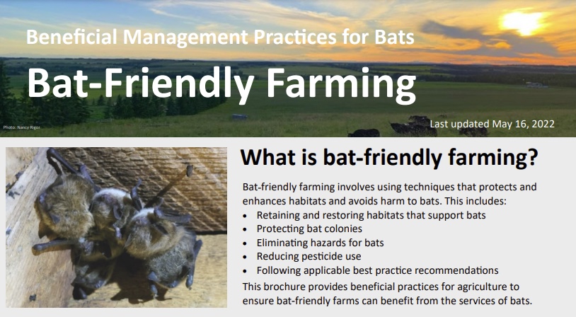 A Bat-Friendly Farming sheet by Alberta Community Bat program.