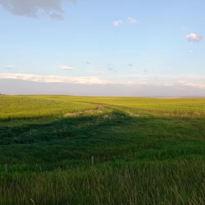 PRODUCER-GUIDED CONSERVATION