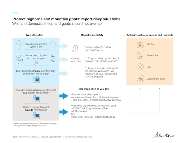 Report_Risky_Situations_infographic FINAL Sept 30 2024