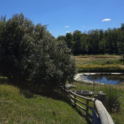 PRODUCER RIPARIAN ASSISTANCE PROGRAM