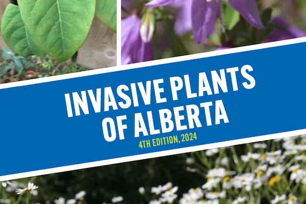 INVASIVE PLANTS OF ALBERTA INVASIVE PLANTS OF ALBERTA, 4th Edition 2024