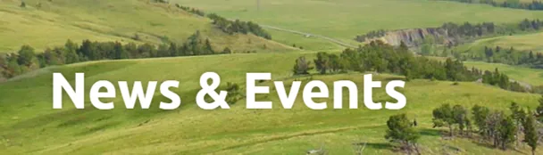 News & Events