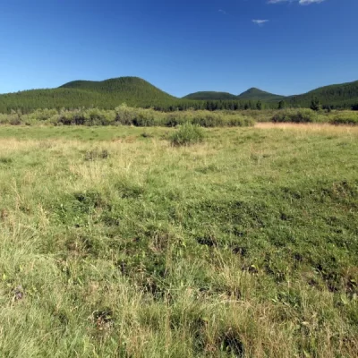 GRASSLAND RESTORATION