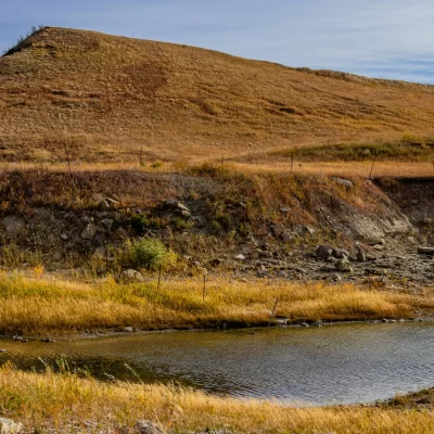 RIPARIAN CONSERVATION PROJECT