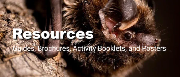 Resources - Guides, Brochures, Activity Booklets, and Posters