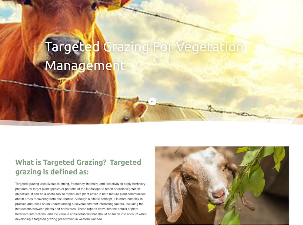 A link to GRF resources for targeted grazing practices