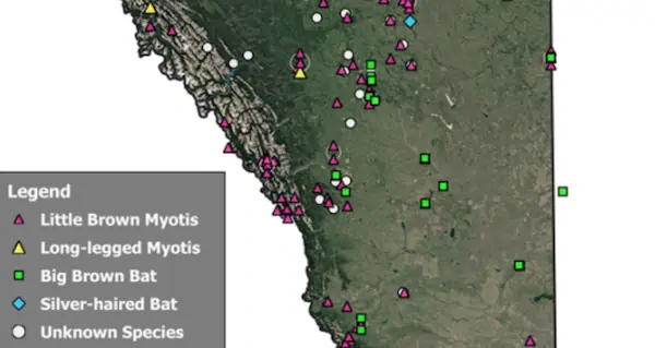 Community Science bat roost monitoring map thumbnail