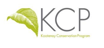 KCP Logo